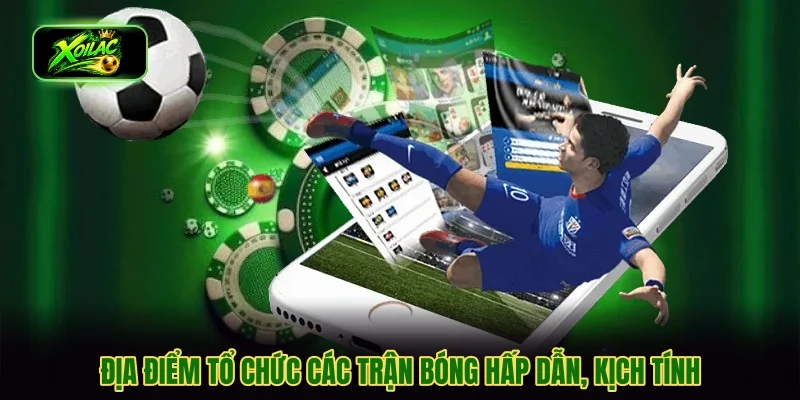 Địa điểm tổ chức các trận bóng hấp dẫn, kịch tính
