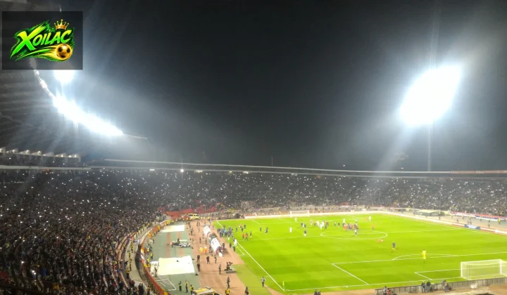 Đội tuyển Serbia thi đấu trong một trận vòng loại World Cup