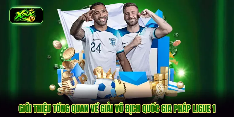 Giới thiệu tổng quan về giải vô địch quốc gia Pháp Ligue 1
