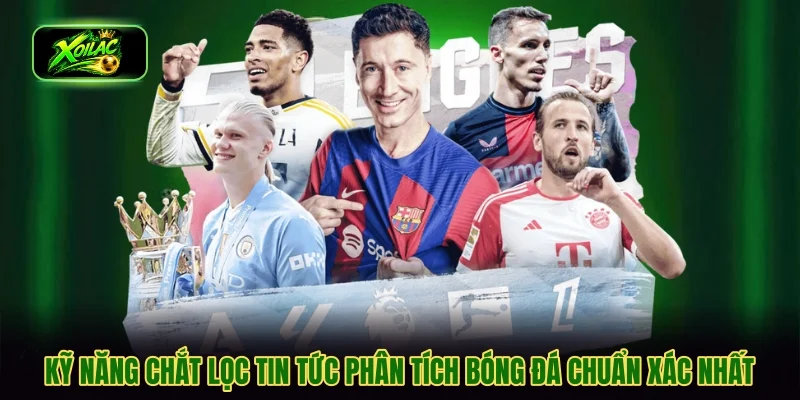 Kỹ năng chắt lọc tin tức phân tích bóng đá chuẩn xác nhất