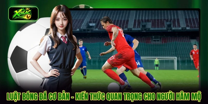luật bóng đá cơ bản