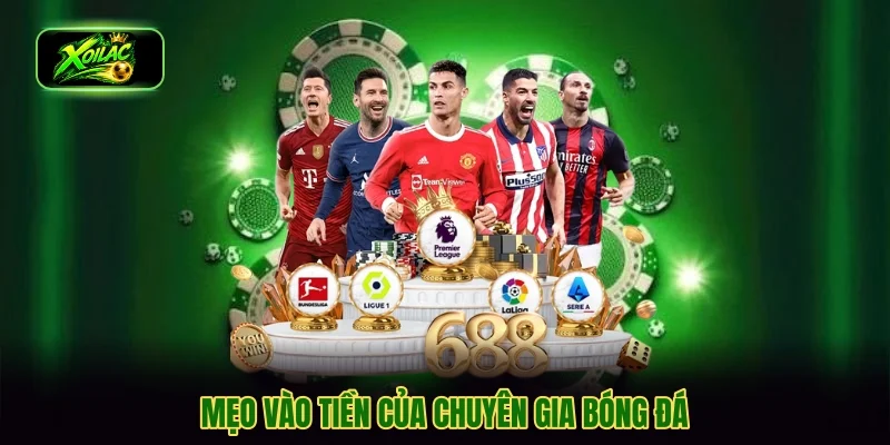 Mẹo vào tiền của chuyên gia bóng đá