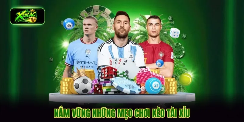 Nắm vững những mẹo chơi kèo tài xỉu